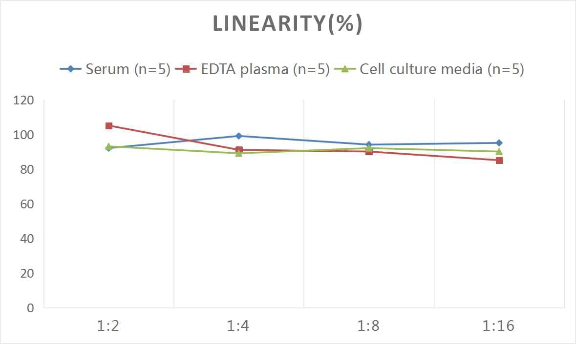 Mouse Tau ELISA Kit (Colorimetric)