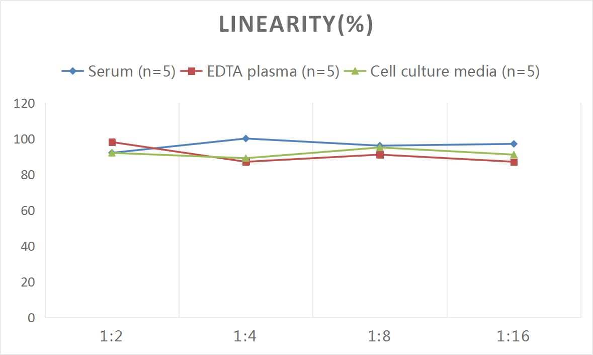 Human PON1 ELISA Kit (Colorimetric)