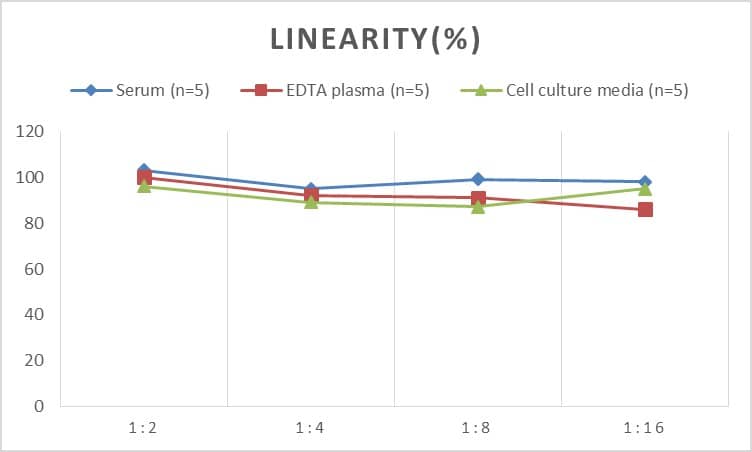 Rat PON1 ELISA Kit (Colorimetric)