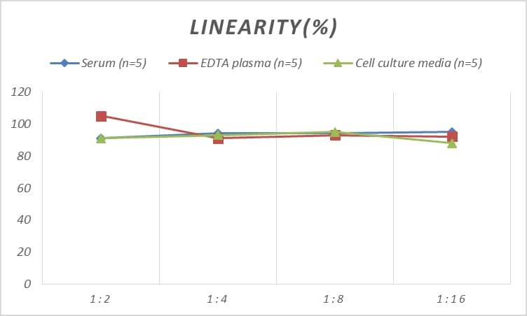 Human PON2 ELISA Kit (Colorimetric)