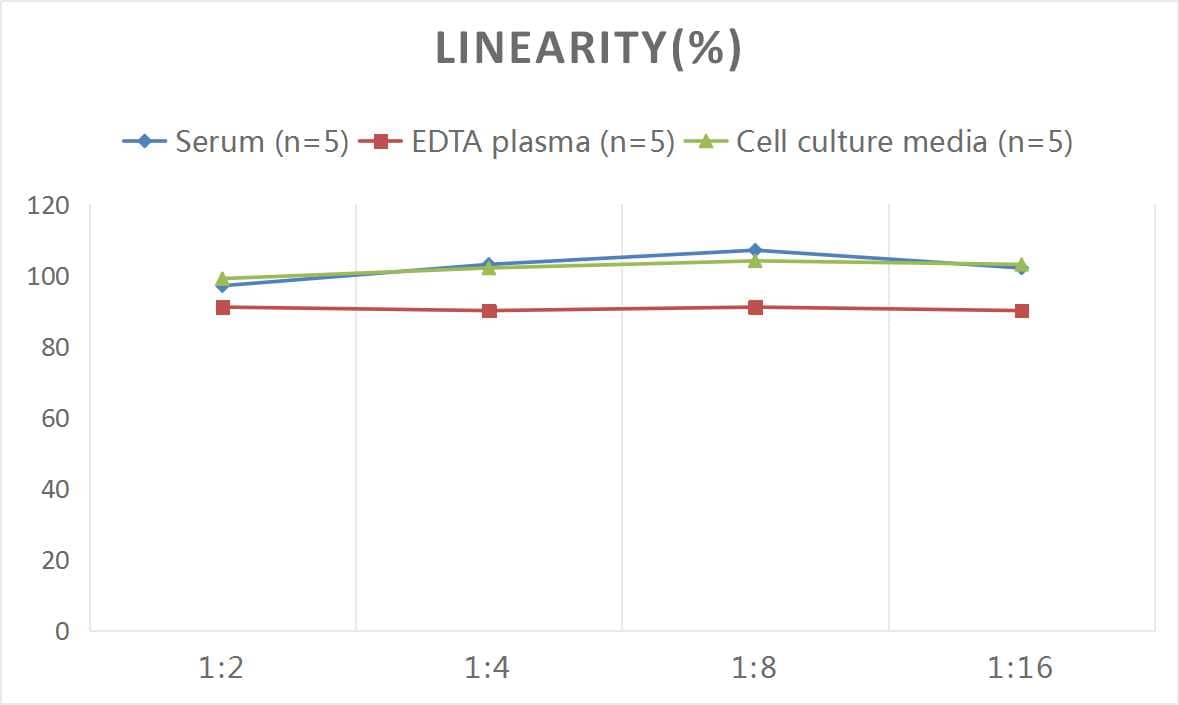 Mouse Apolipoprotein E/ApoE ELISA Kit (Colorimetric)