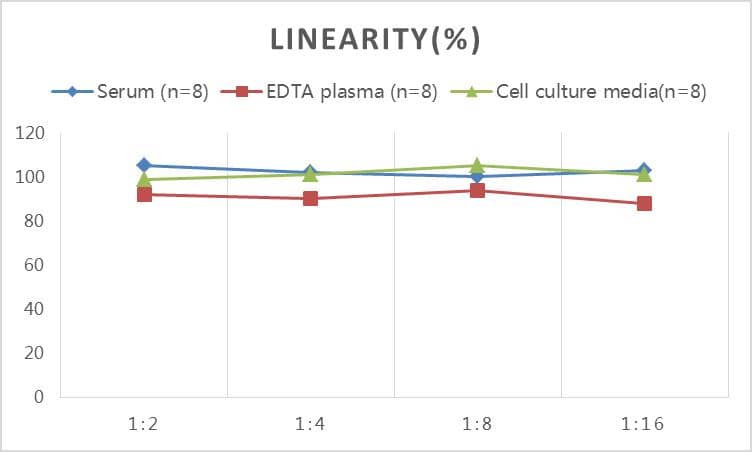 Rat Apolipoprotein E/ApoE ELISA Kit (Colorimetric)