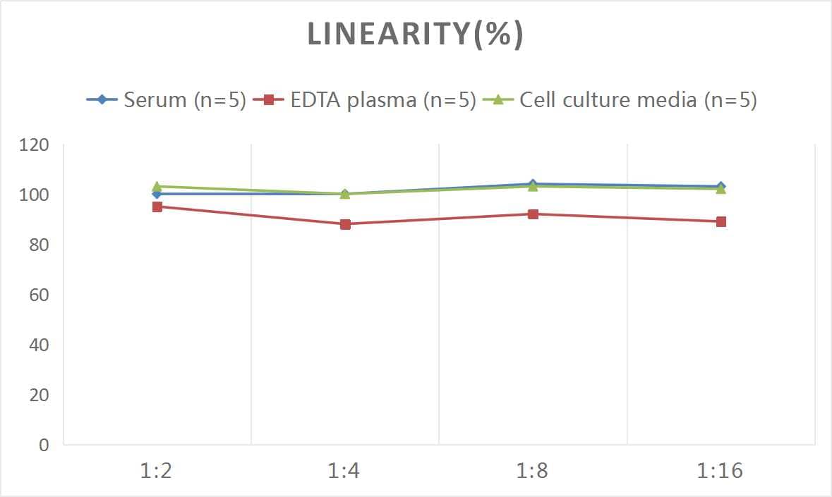 Mouse BMP-4 ELISA Kit (Colorimetric)