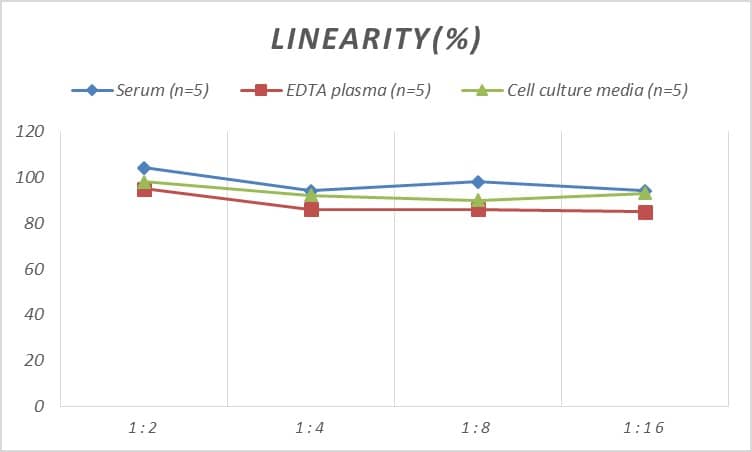 Rat Apolipoprotein C1 ELISA Kit (Colorimetric)