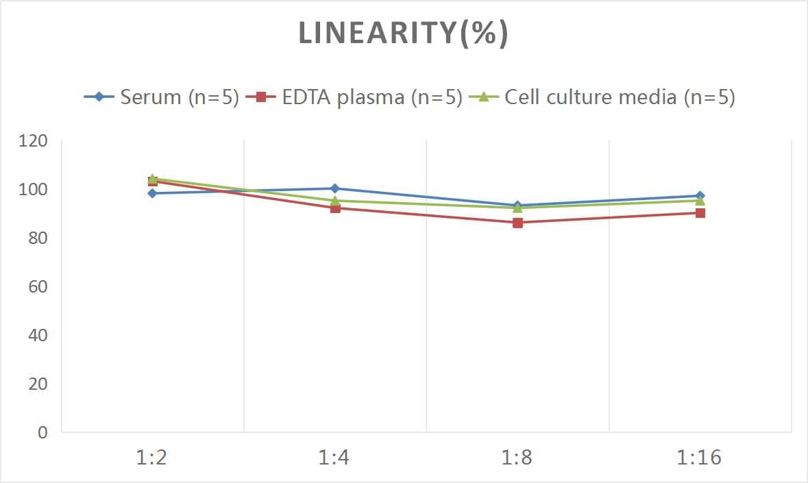 Human PP14/Glycodelin ELISA Kit (Colorimetric)