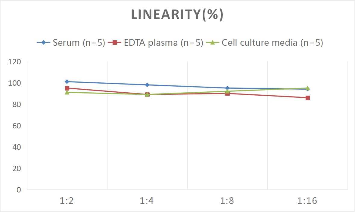 Human Galectin-14/LGALS14 ELISA Kit (Colorimetric)