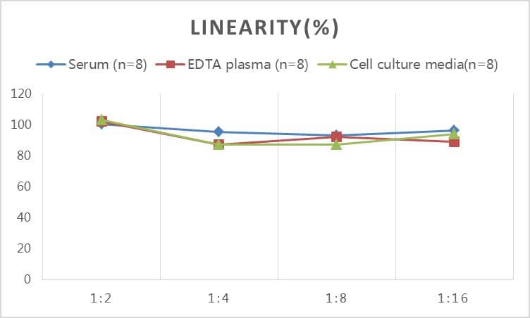 Rat Endoglin/CD105 ELISA Kit (Colorimetric)