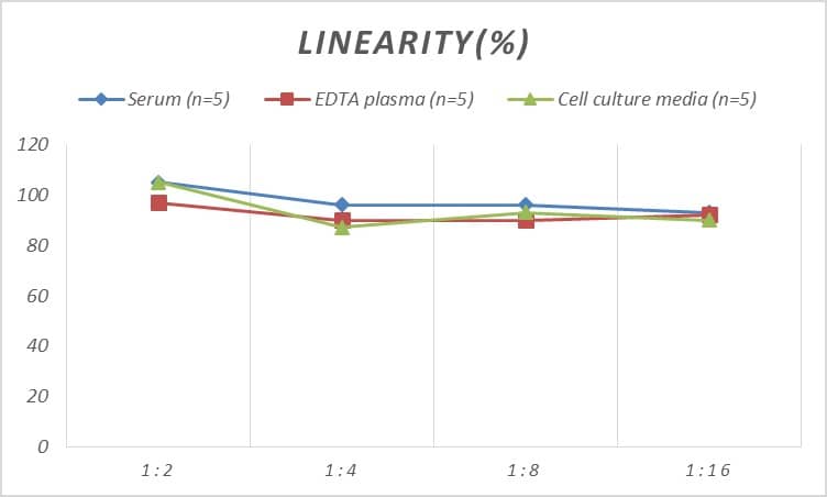 Rat CD30/TNFRSF8 ELISA Kit (Colorimetric)