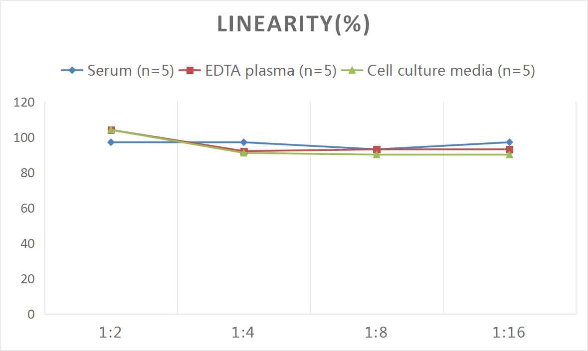 Rat COMP/Thrombospondin-5 ELISA Kit (Colorimetric)