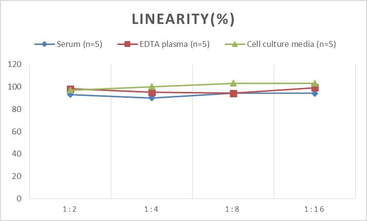 Rat Ghrelin/Obestatin ELISA Kit (Colorimetric)