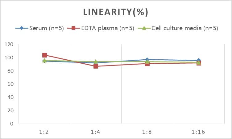 Rat Periostin/OSF-2 ELISA Kit (Colorimetric)