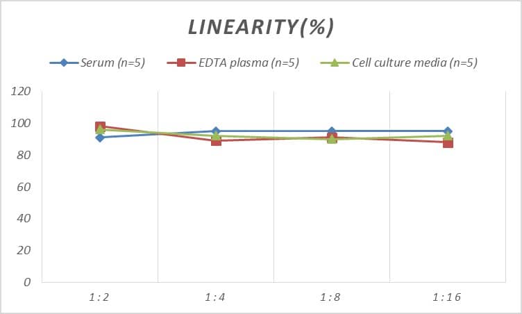 Human Relaxin R1/LGR7 ELISA Kit (Colorimetric)