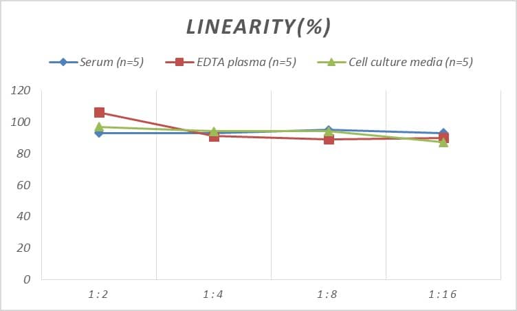 Mouse Relaxin R1/LGR7 ELISA Kit (Colorimetric)