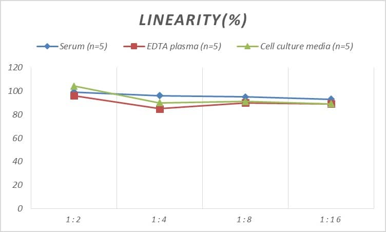 Human RXR alpha/NR2B1 ELISA Kit (Colorimetric)