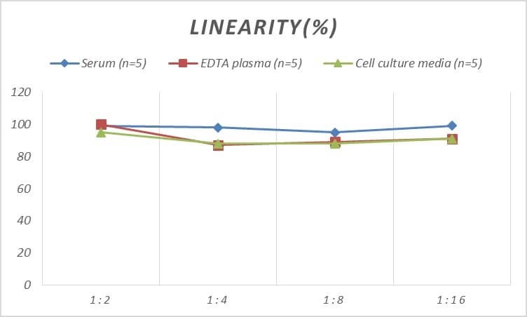 Rat alpha 1-Acid Glycoprotein ELISA Kit (Colorimetric)