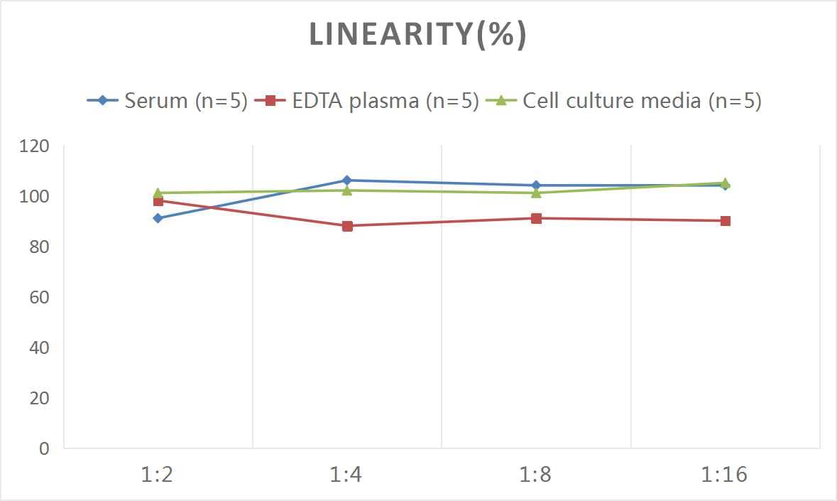 Rat BMP-4 ELISA Kit (Colorimetric)