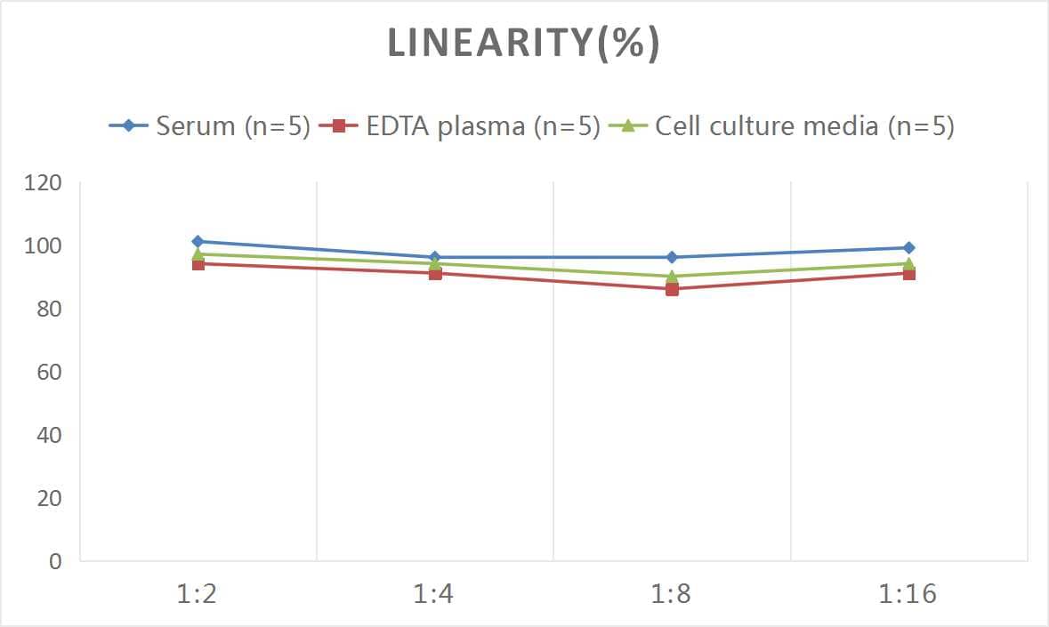 Human GIP ELISA Kit (Colorimetric)