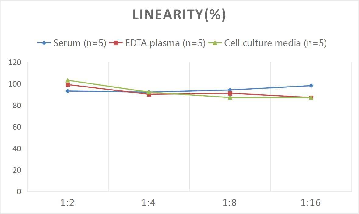 Mouse GIP ELISA Kit (Colorimetric)