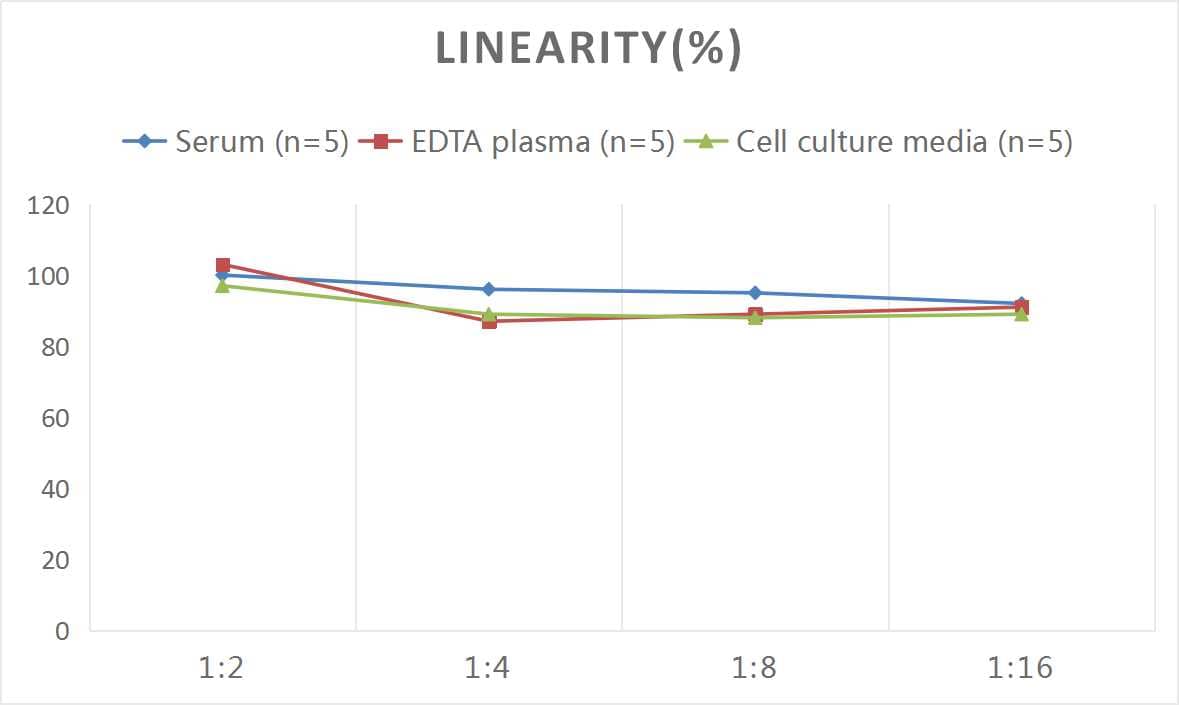 Rat GIP ELISA Kit (Colorimetric)