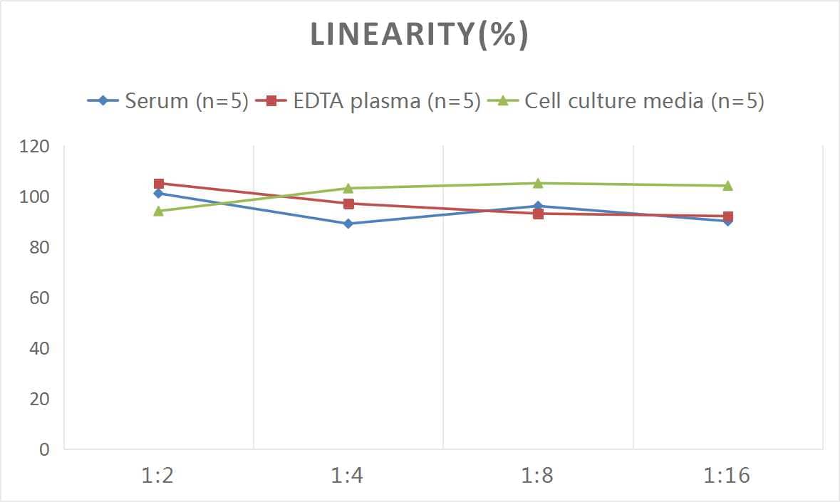 Human GLP2 ELISA Kit (Colorimetric)