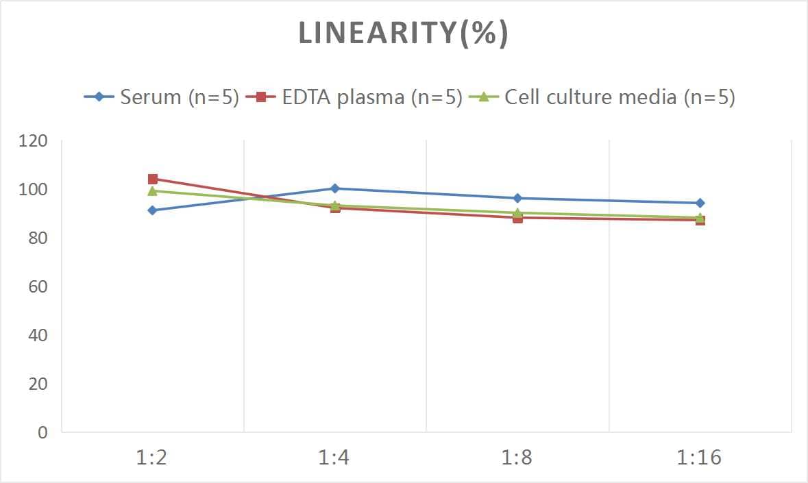 Human Glut3 ELISA Kit (Colorimetric)