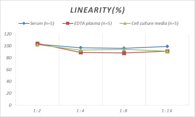 Rat Glut3 ELISA Kit (Colorimetric)