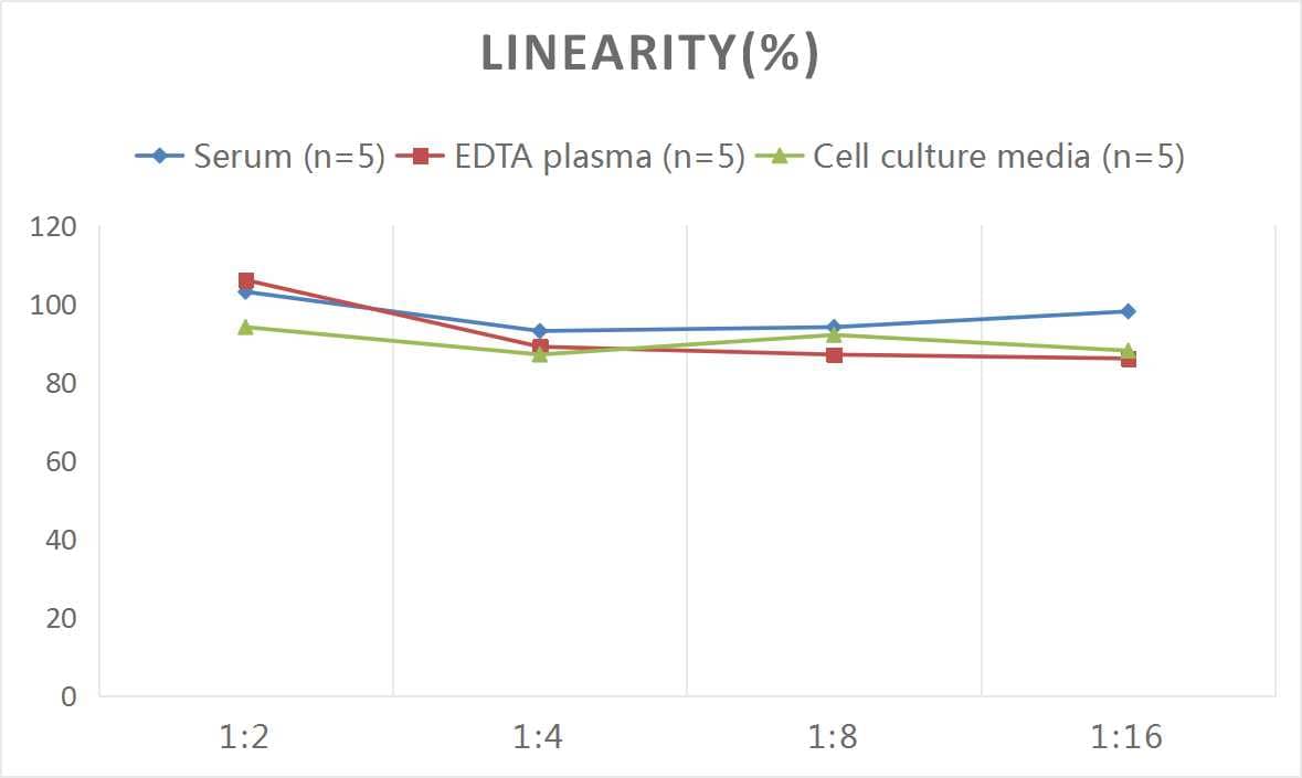 Human Glut4 ELISA Kit (Colorimetric)