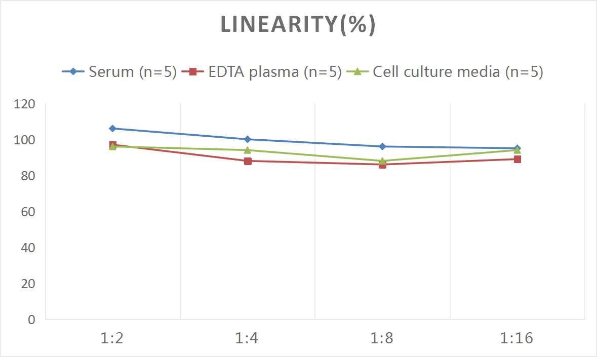 Rat Glut4 ELISA Kit (Colorimetric)