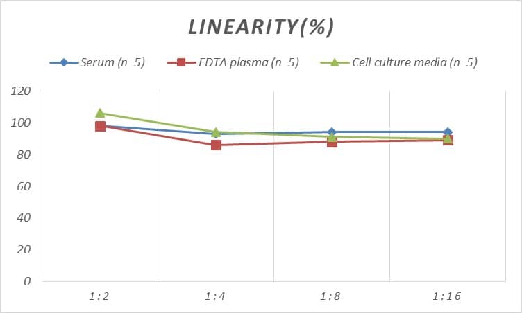 Mouse GMF-beta ELISA Kit (Colorimetric)