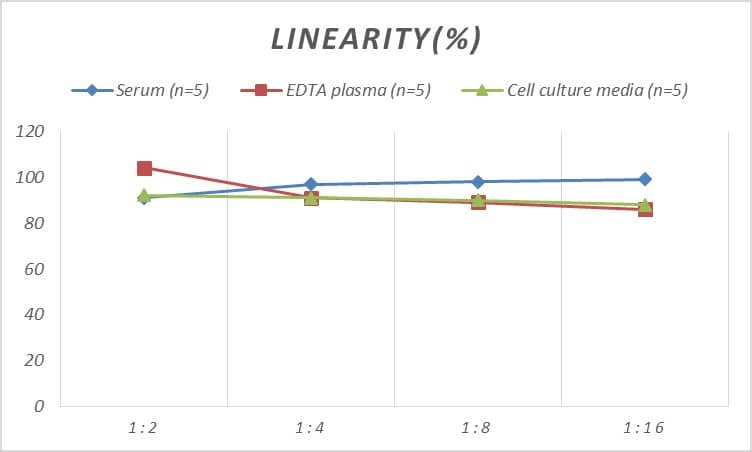 Rat GMF-beta ELISA Kit (Colorimetric)