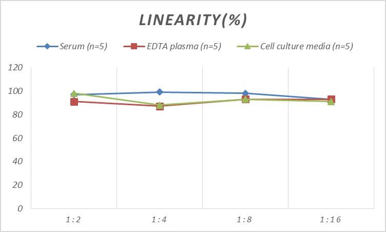 Rat beta-Galactosidase-1/GLB1 ELISA Kit (Colorimetric)