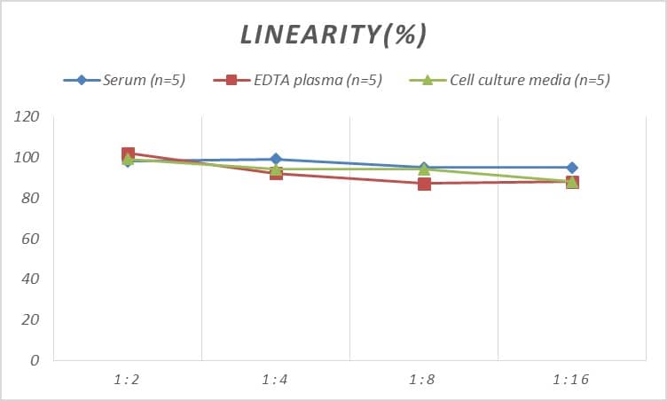 Rat Glypican 3 ELISA Kit (Colorimetric)