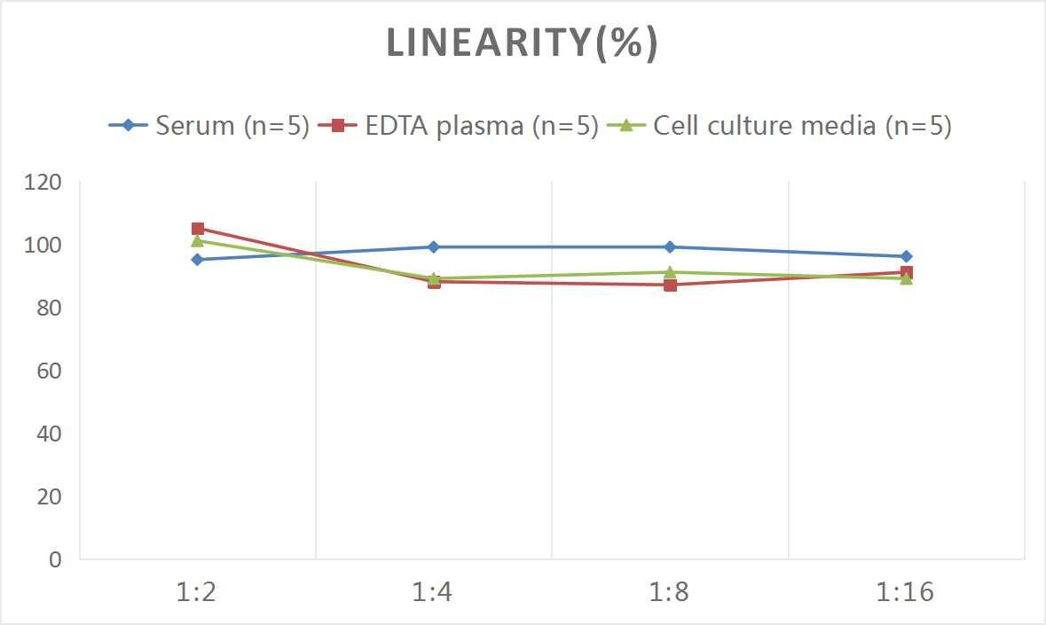 Human Glypican 4 ELISA Kit (Colorimetric)