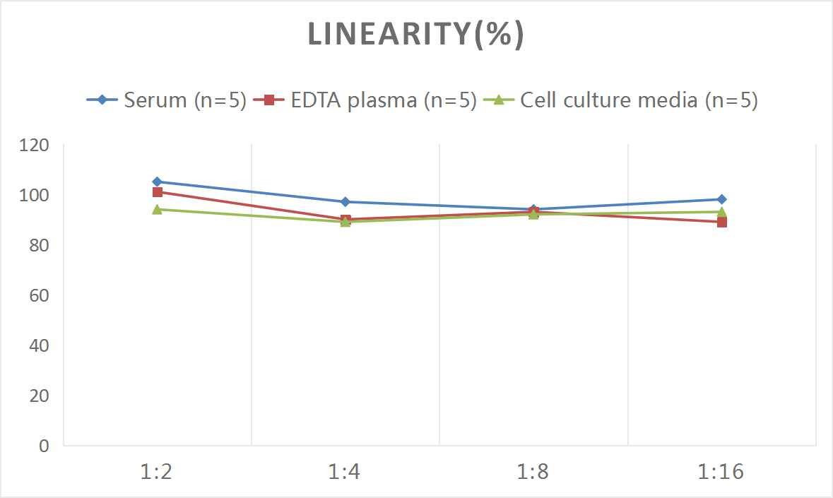 Human GRP78/HSPA5 ELISA Kit (Colorimetric)