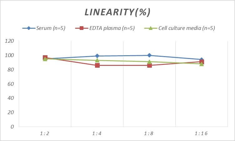 Mouse Glutamine Synthetase ELISA Kit (Colorimetric)