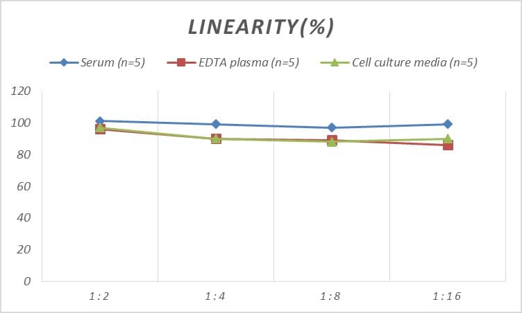 Rat Gelsolin/GSN ELISA Kit (Colorimetric)