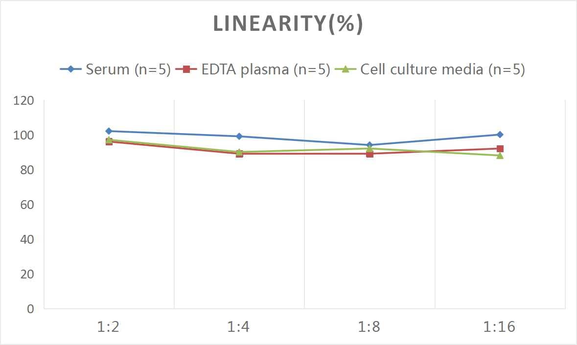 Rat FABP2/I-FABP ELISA Kit (Colorimetric)