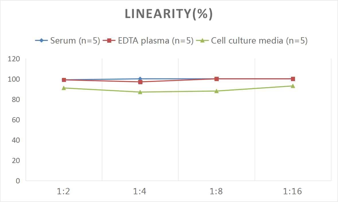 Monkey Complement Component C5a ELISA Kit (Colorimetric)