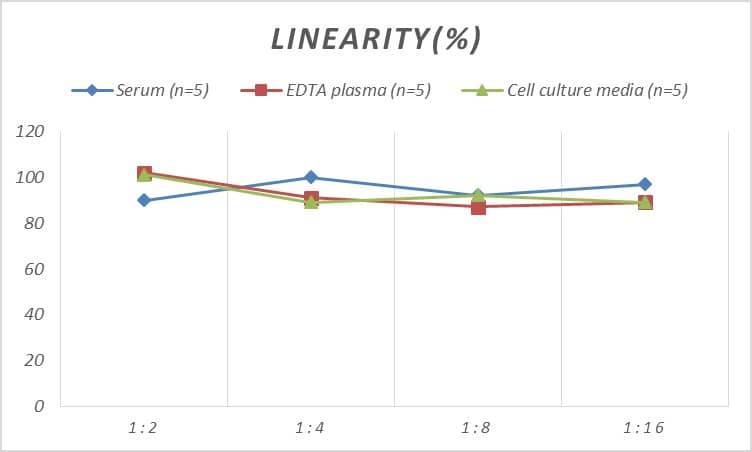 Human UCP3 ELISA Kit (Colorimetric)