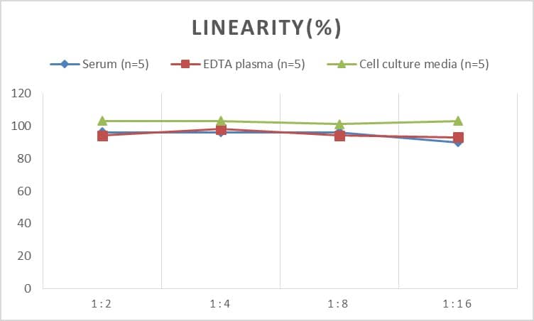 Human VIPR1/VPAC1 ELISA Kit (Colorimetric)