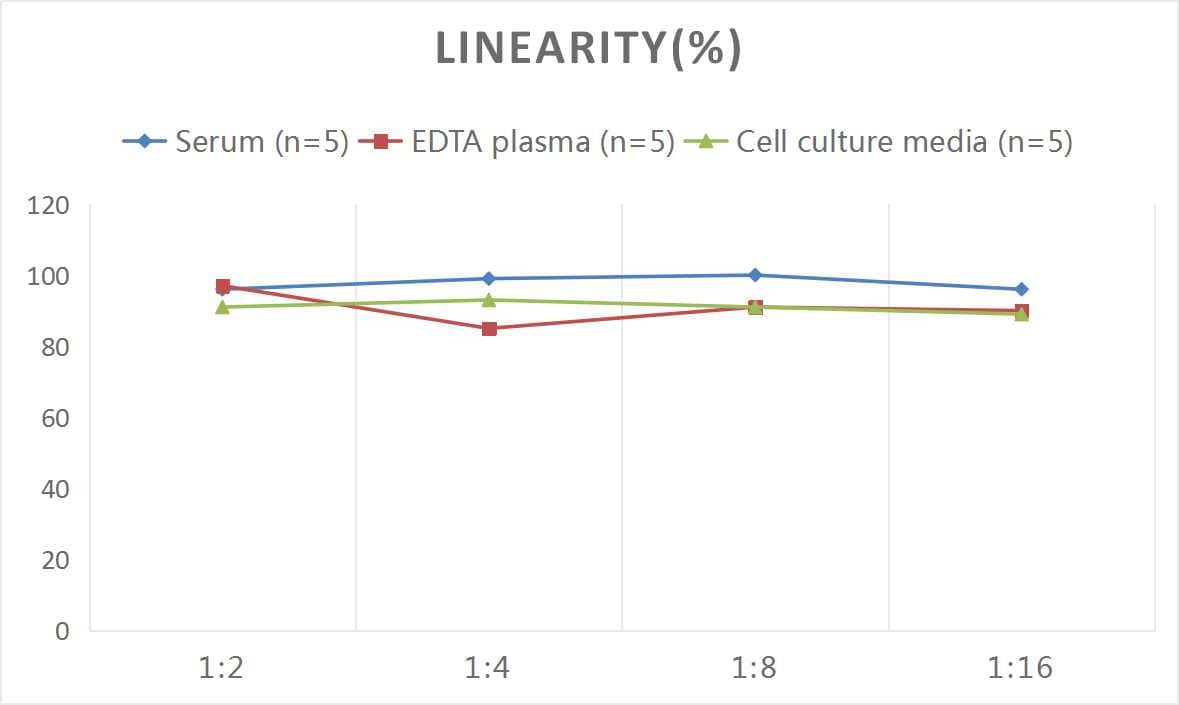 Human Xanthine Oxidase ELISA Kit (Colorimetric)