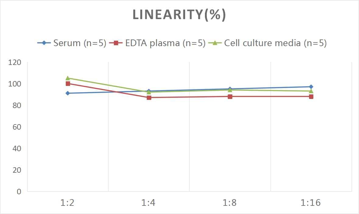 Monkey Erythropoietin/EPO ELISA Kit (Colorimetric)