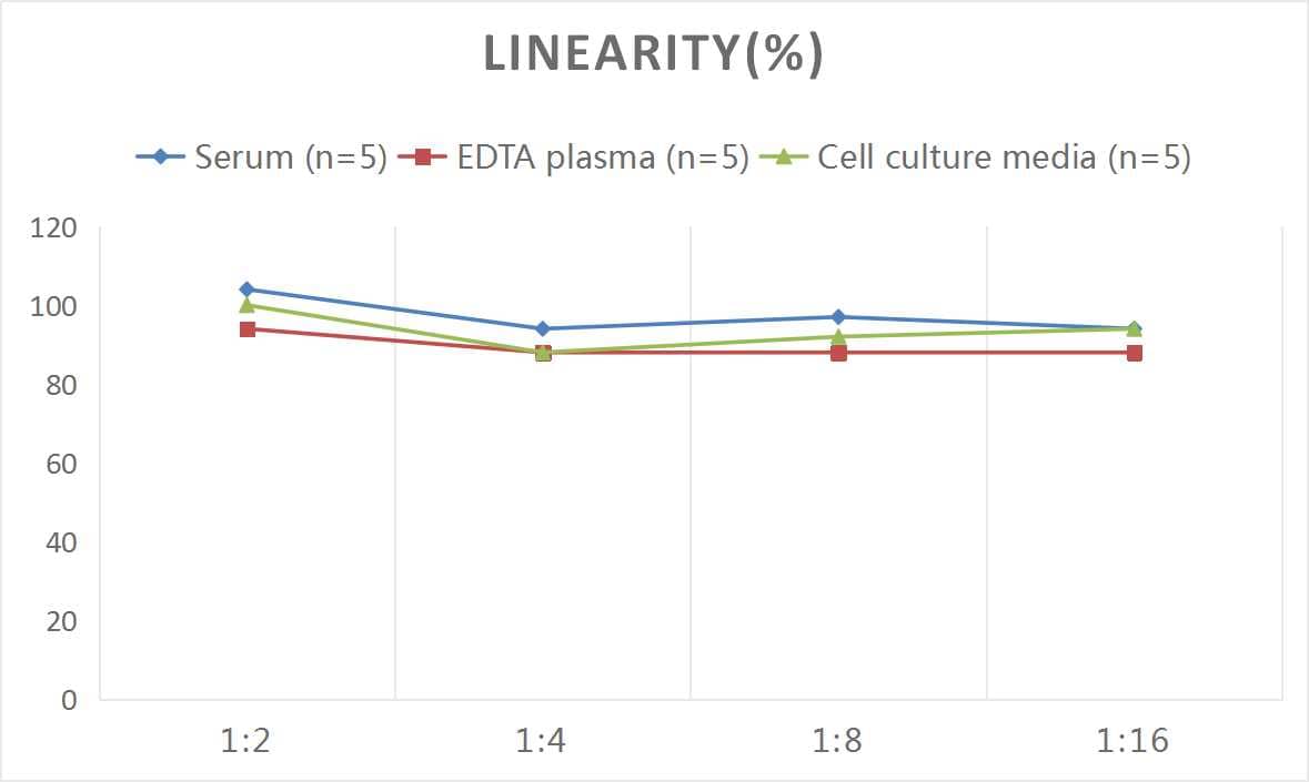 Monkey Coagulation Factor XI ELISA Kit (Colorimetric)