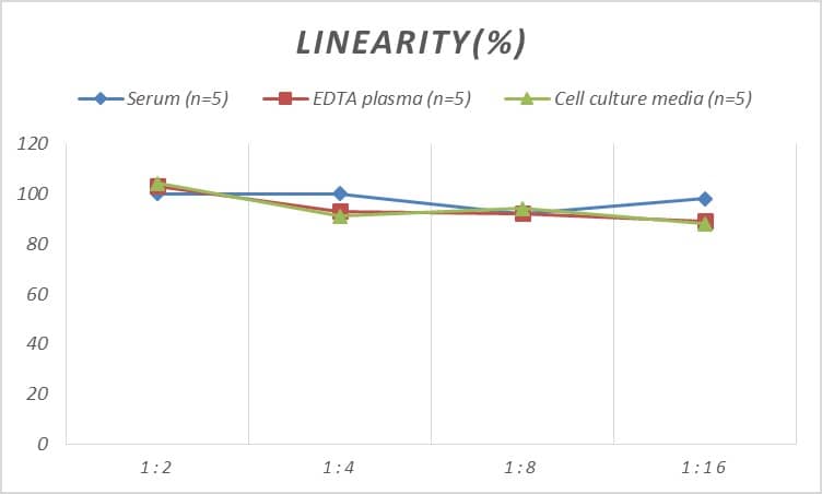 Mouse LYAG/GAA ELISA Kit (Colorimetric)