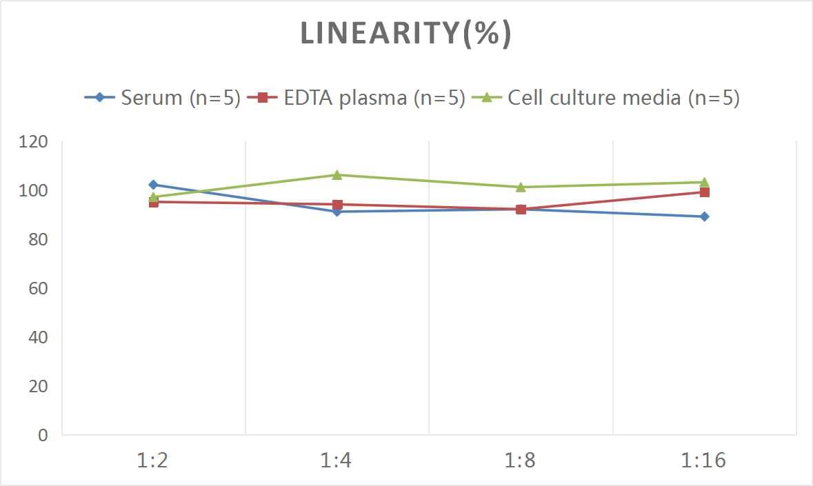 Mouse beta CTX ELISA Kit (Colorimetric)