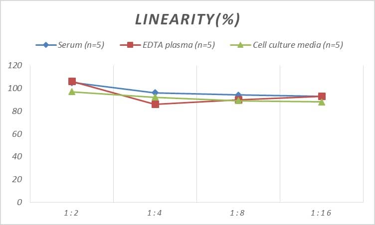 Mouse Desmin ELISA Kit (Colorimetric)