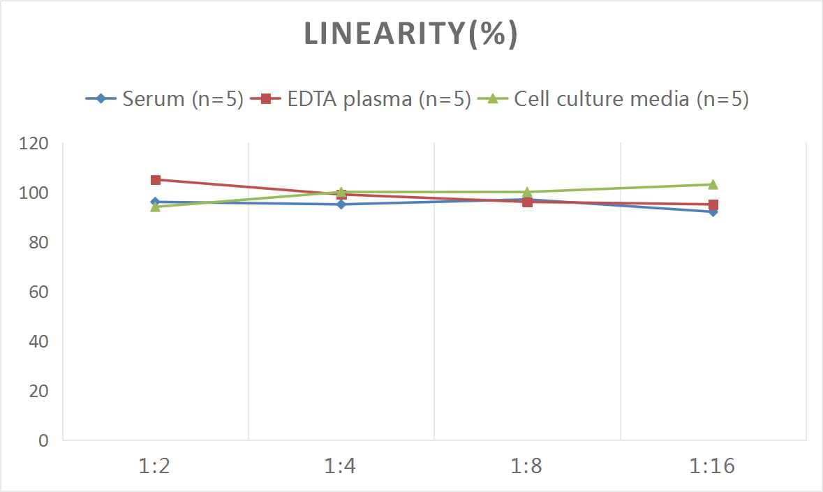 Mouse DHEA-Sulfate ELISA Kit (Colorimetric)