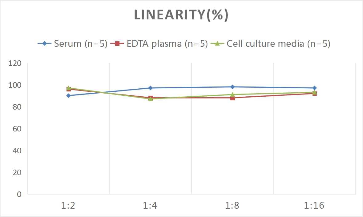 Mouse Dkk-2 ELISA Kit (Colorimetric)