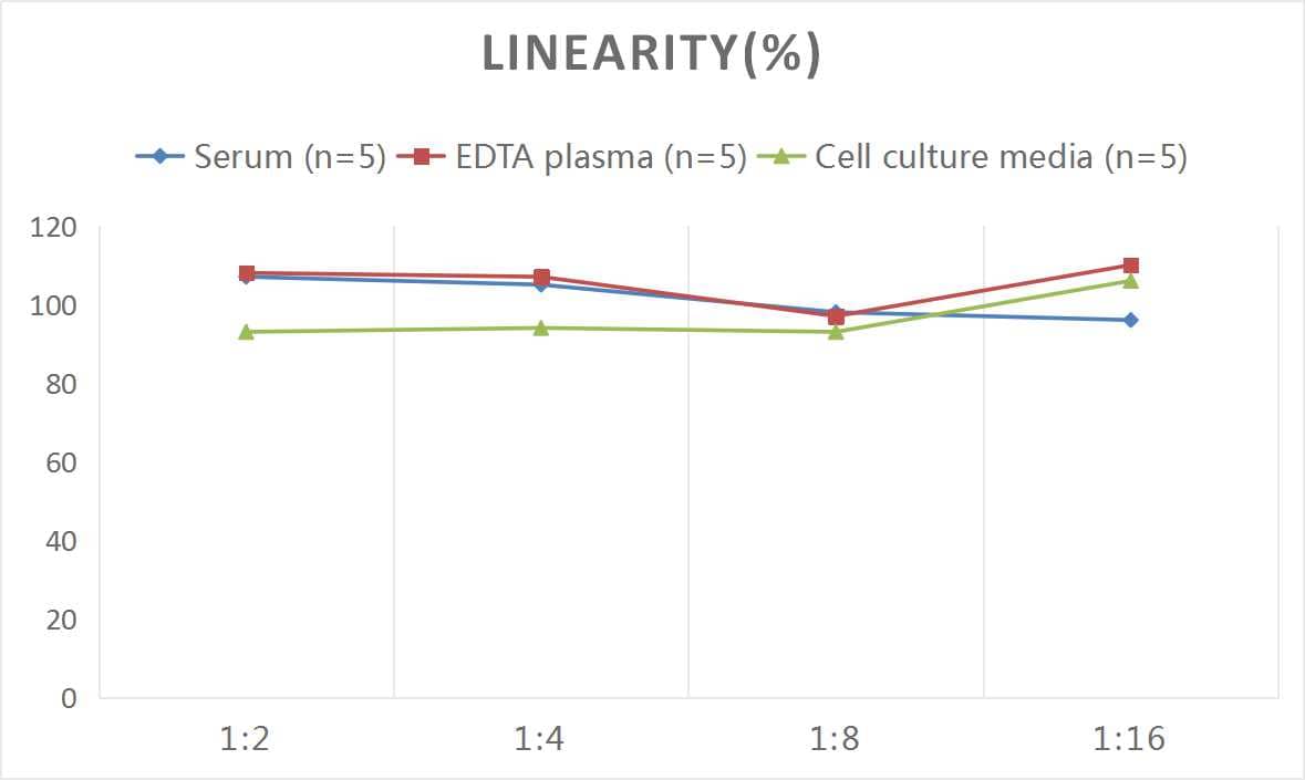 Mouse Factor XII ELISA Kit (Chemiluminescence)