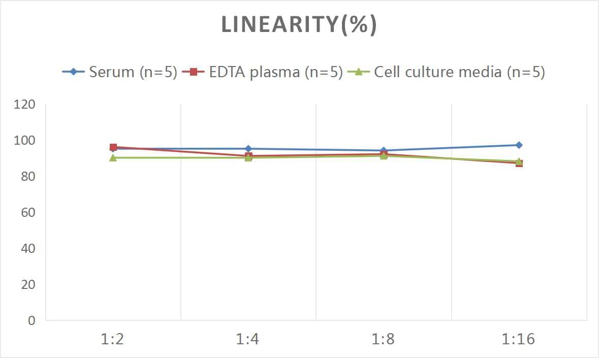 Mouse Factor XII ELISA Kit (Colorimetric)